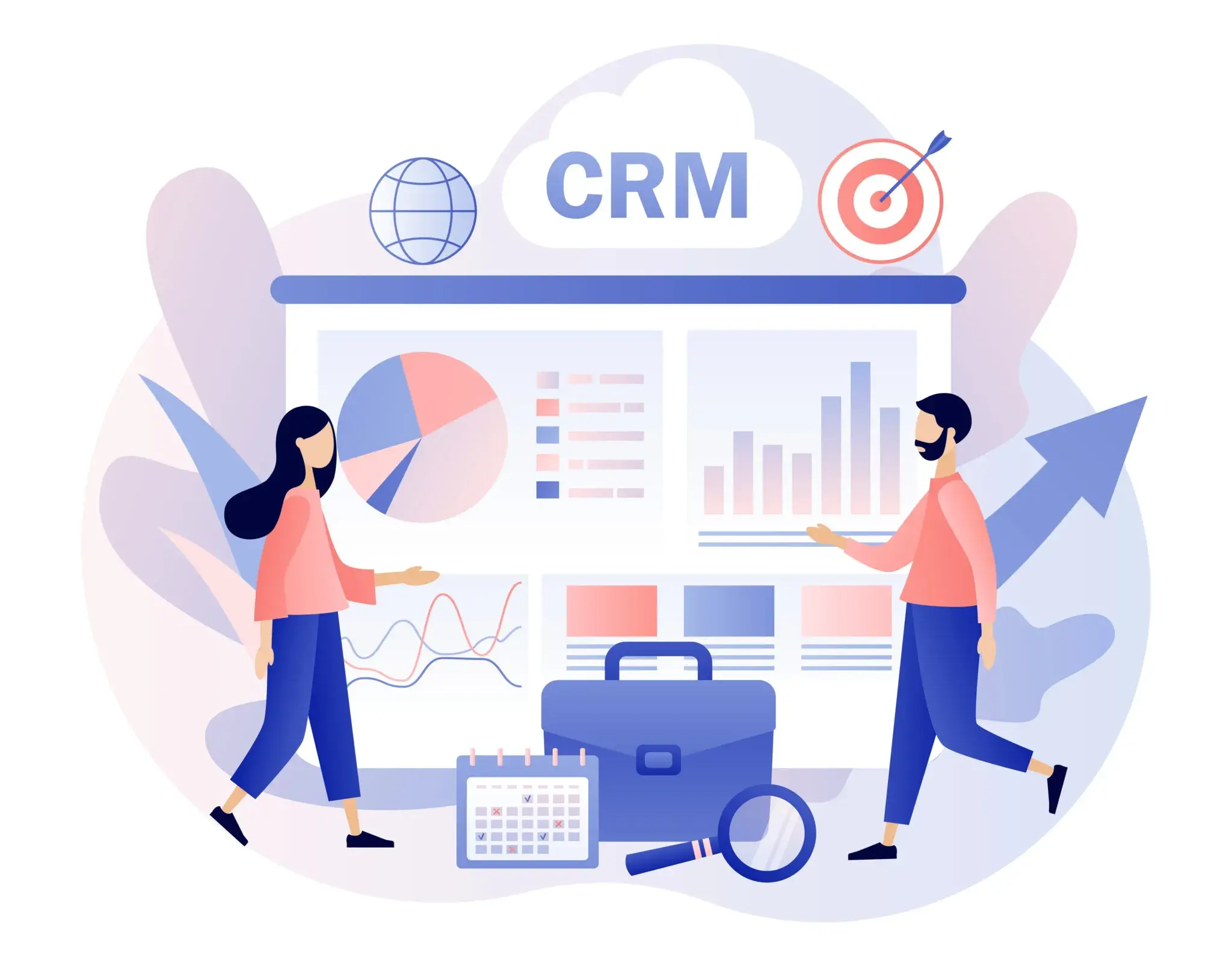 Customer Experience Management CRM Customisation capability illustration.