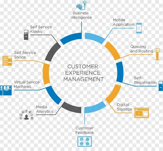 Customer Experience Management Implementation Oversight capability illustration.