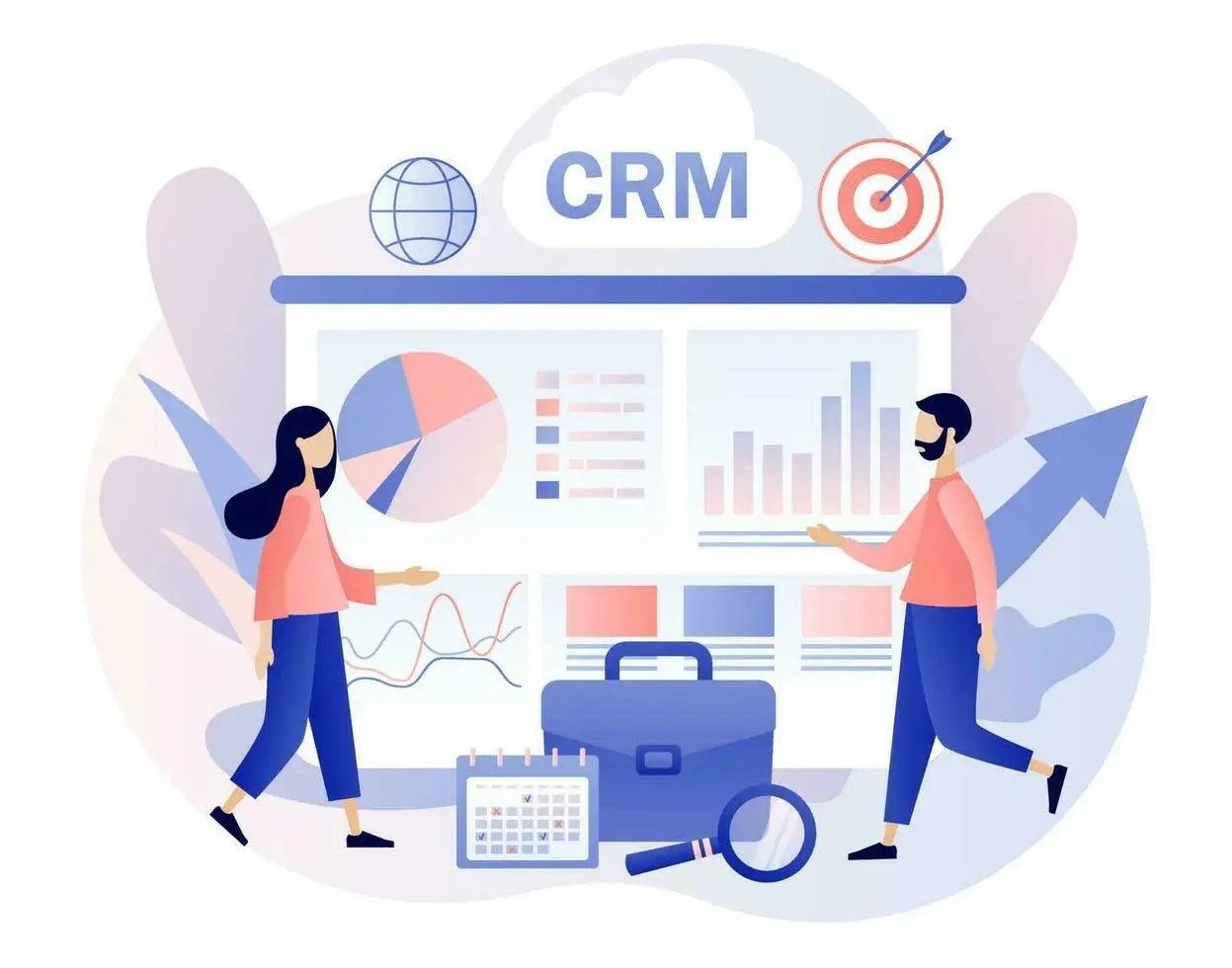 Software Development CRM Development capability illustration.