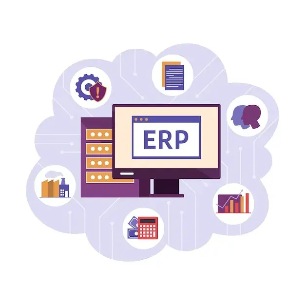 Software Development ERP Development capability illustration.