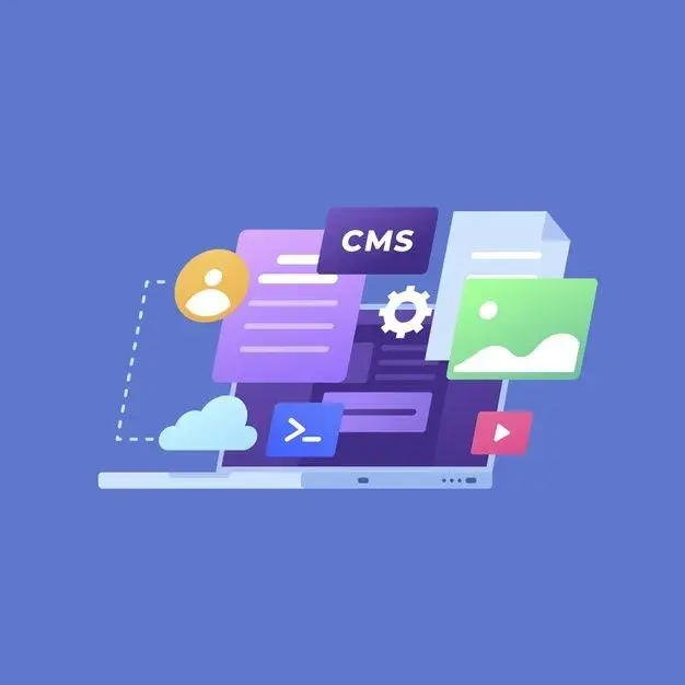 Web Development Custom CMS Builds capability illustration.